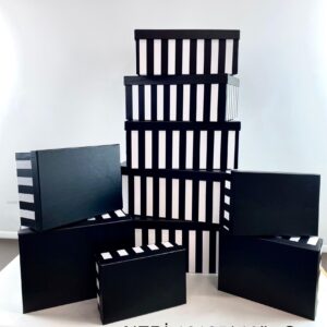 ABK DİKDÖRTGEN 10 LU KUTU SİYAH/BEYAZ ÇİZGİLİ