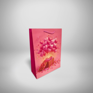 ÇANTA İTHAL İP SAPLI HEDİYE PAKETLİ 31*42*12 12 Lİ