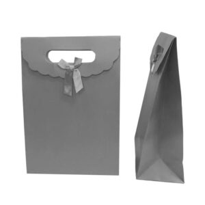 ÇANTA KARTON İTH. CIRTLI  GÜMÜŞ  19*9*27 12 Lİ