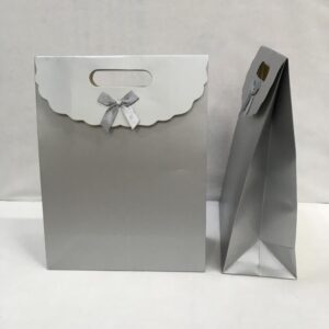 ÇANTA KARTON İTH. CIRTLI  GÜMÜŞ  24*12*31 12 Lİ