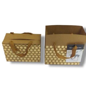 ÇANTA KUTU 12 LI ALTIN DESENLİ 18*12*9