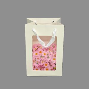 ÇANTA ÖN YÜZÜ ŞEFFAF BEYAZ  RENK 20*16*30 CM 12 Lİ