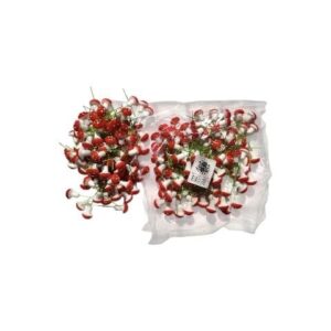 ÇUBUKLU STRAFOR MANTAR  KÜÇÜK 100 LÜ