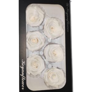 GÜL SOLMAYAN BEYAZI 6 LI