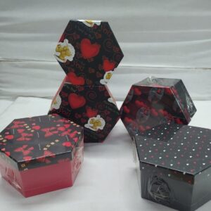 TN ALTIGEN KUTU 2 Lİ DESENLİ MODELLER