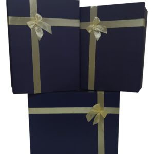 TN DİKDÖRTGEN 3 LÜ BÜYÜK KUTU FYONKLU LACİVERT