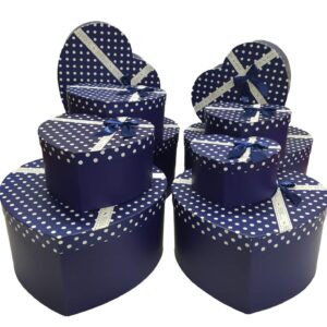 TN KALPLİ KUTU 10 LU PAPYONLU PUANLI LACİVERT