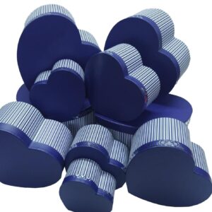 TN KALPLİ KUTU 10LU KENARI VARAK  LACİVERT ÇİZGİLİ